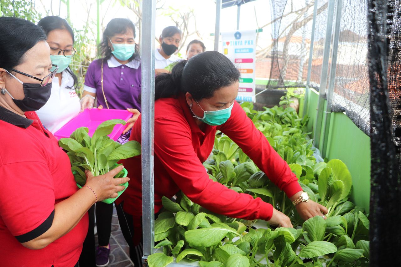 podiumnews.com- Ny. Seniasih Giri Prasta Tinjau Program HATINYA PKK di Kuta